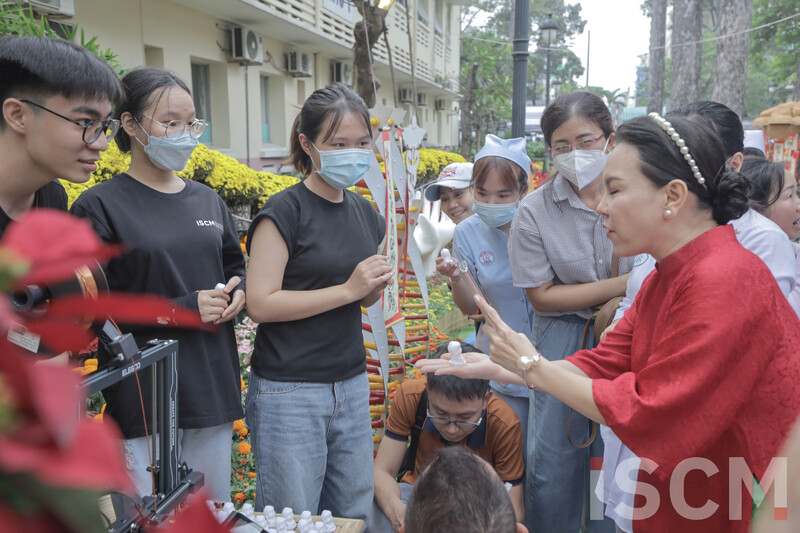 cá cược thể thao hul city